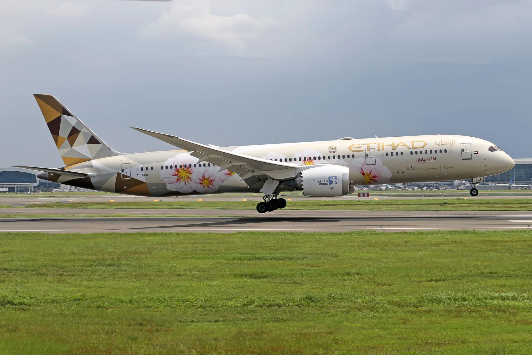 Etihad Airways aircraft